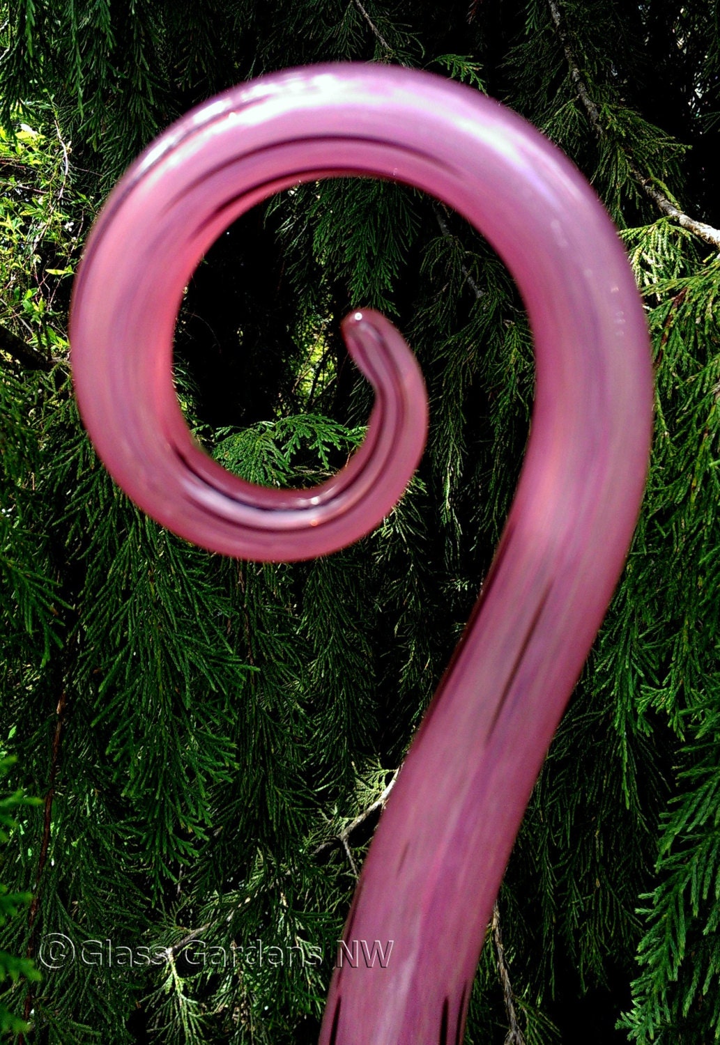 Hand Blown glass Fiddlestick - Pink & black (large) - Glass Garden Art