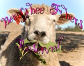Reserved - Portuguese Merino wool, combed top, wool roving, spinning, felting - 4.1 - ALICE TEA CUP