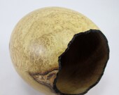 Black Locust Burl Cocoon