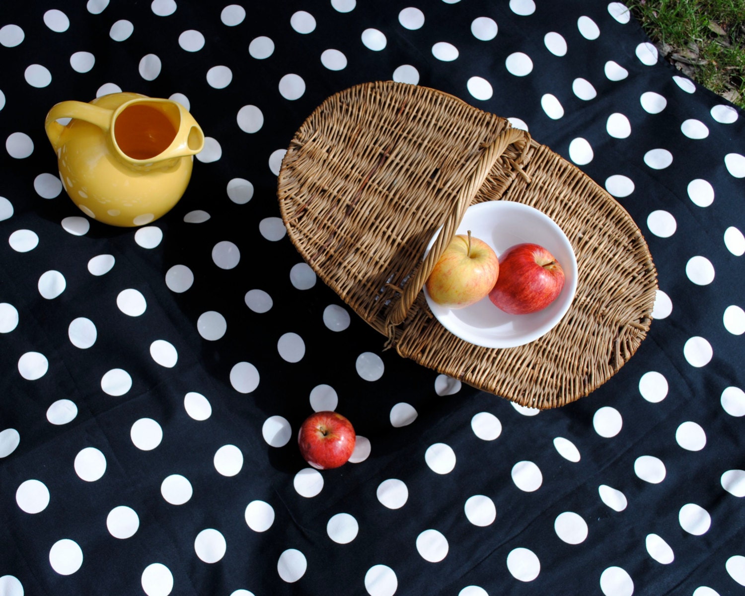 WATERPROOF Picnic Blanket in Black White Polka Dots / Eco Friendly Retro Summer Beach Blanket with Non Toxic Backing (Ready to Ship)