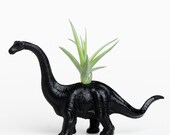 Small Dinosaur Planter with Air Plant Room Decor, College Dorm Geekery