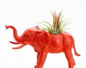 Elephant Planter with Air Plant Room Decor, Safari Animal, College Dorm Ornament, Plants and Edibles, Red, Blue