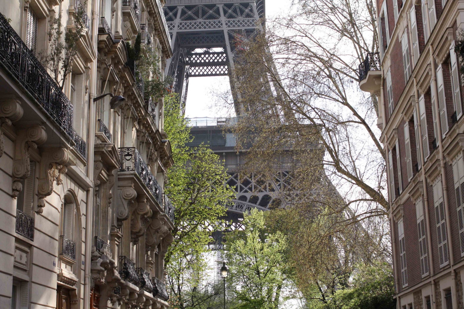Paris Photography - Paris in the Springtime - Eiffel Tower View - 8x10 Fine Art Photograph - Paris Home Decor - French Wall Art