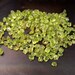 Peridot crystals - 20 grams - raw rough natural Peridot - small pieces - lot of crystals vial necklace sized  august birthstone stone green
