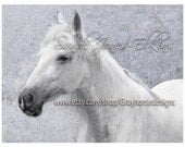 Lost in the Clouds, fine art equine photography print perfect gift for horse lovers