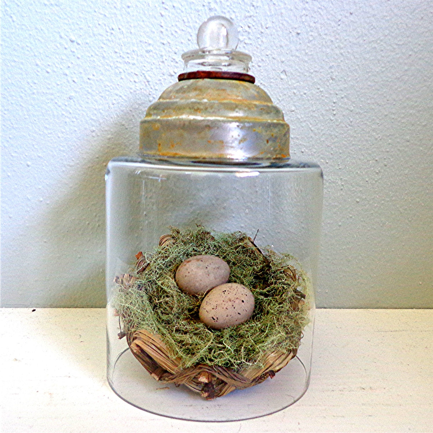 Glass Cloche / Dome top