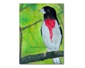 Summer Bird watercolor 8x10 fine art painting rosebreasted grosbeak bright green wall decor