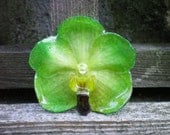 REAL Natural Emerald Green ORCHID Pin and Pendant