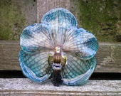 REAL Natural Teal Blue ORCHID Pin and Pendant