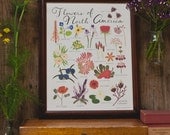 Flowers of North America Print