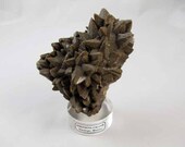 Dogtooth calcite mineral geology specimen curio Durango Mexico lucite base