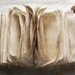 Pages No. 2 - Fine Art Photography, Pages, Reading, Journal, Old Paper, Story, Bibliophile, Library, Dreamy, 5 x 3.5 inches