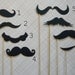 Custom Listing for ashleygraves2 - Brown Photo Props on a Stick