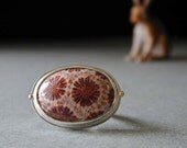Coral Ring, Fossil Ring, Sterling Silver Jewelry, Fossilized Coral, 14kt Gold, Minimalist Design