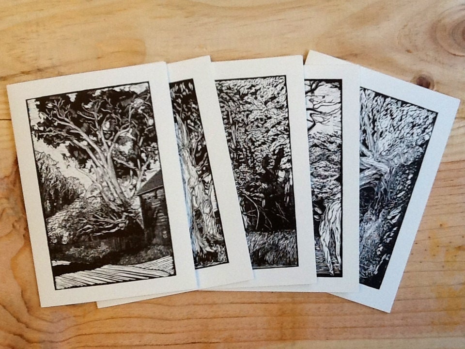Notecards - Coupled Tree Series - boxed set of 5