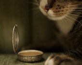 Winter Kitty - REFILL for Solid Perfume Compact