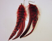 Feather Earrings Red Chinchilla