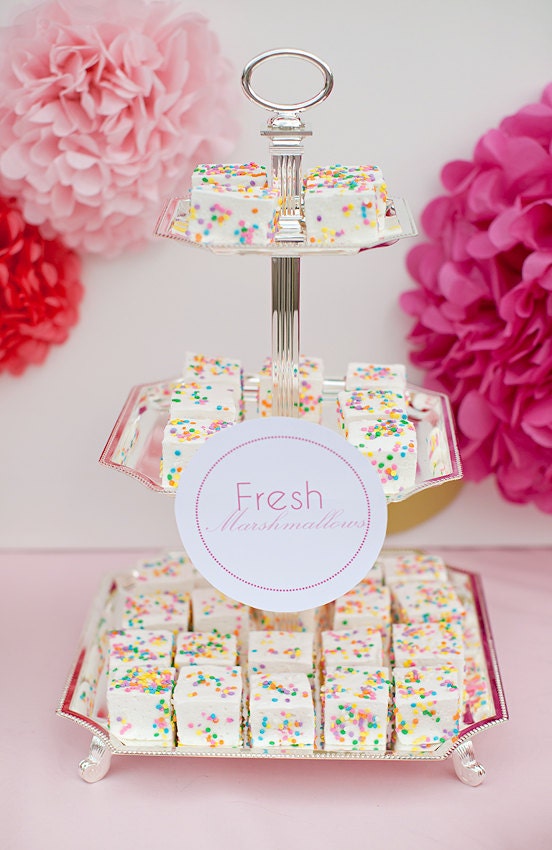 REDUCED PRICE - Gourmet JUMBO Party Favors - You choose flavor - 24 pieces