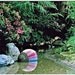 Note Card, Set of 2, Blank, Folded, Unique Garden Pond Scene Photo, 5" by 7", with Envelope