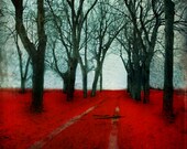 Red Forest Print Nature Photography Parc Laurier Montreal Art Red woodland forest photography 8x10 Print - The Crimson Forest