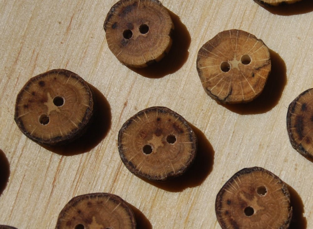 10 Oak Wood Buttons, 1/2 Inch (13 mm)