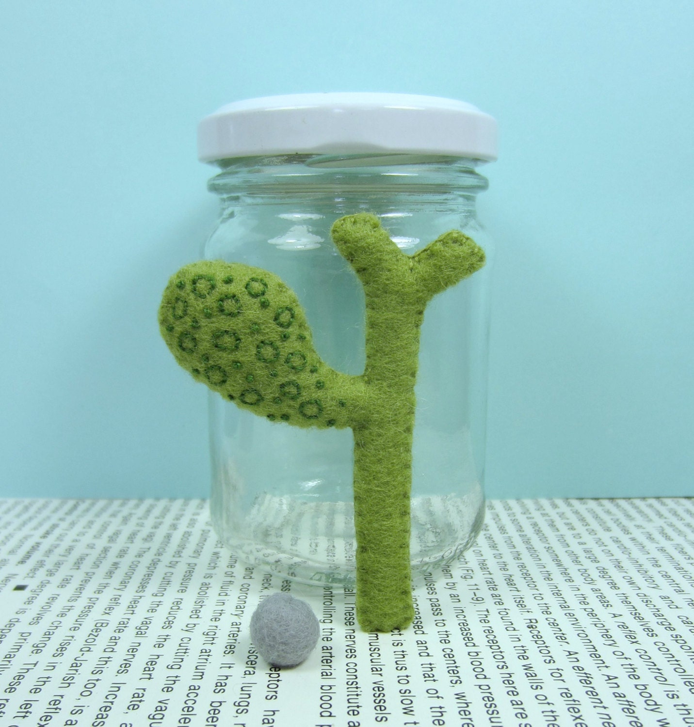 Gall Bladder in a Jar Anatomical Specimen