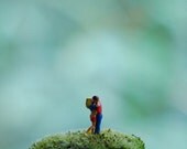 tiny lovers for terrariums and other creations