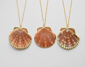 Sea Shell Necklace - Scallop Shell Necklace - Gold Necklace - Bohemian Necklace - Summer Boho Chic Necklace - Gift - OOAK