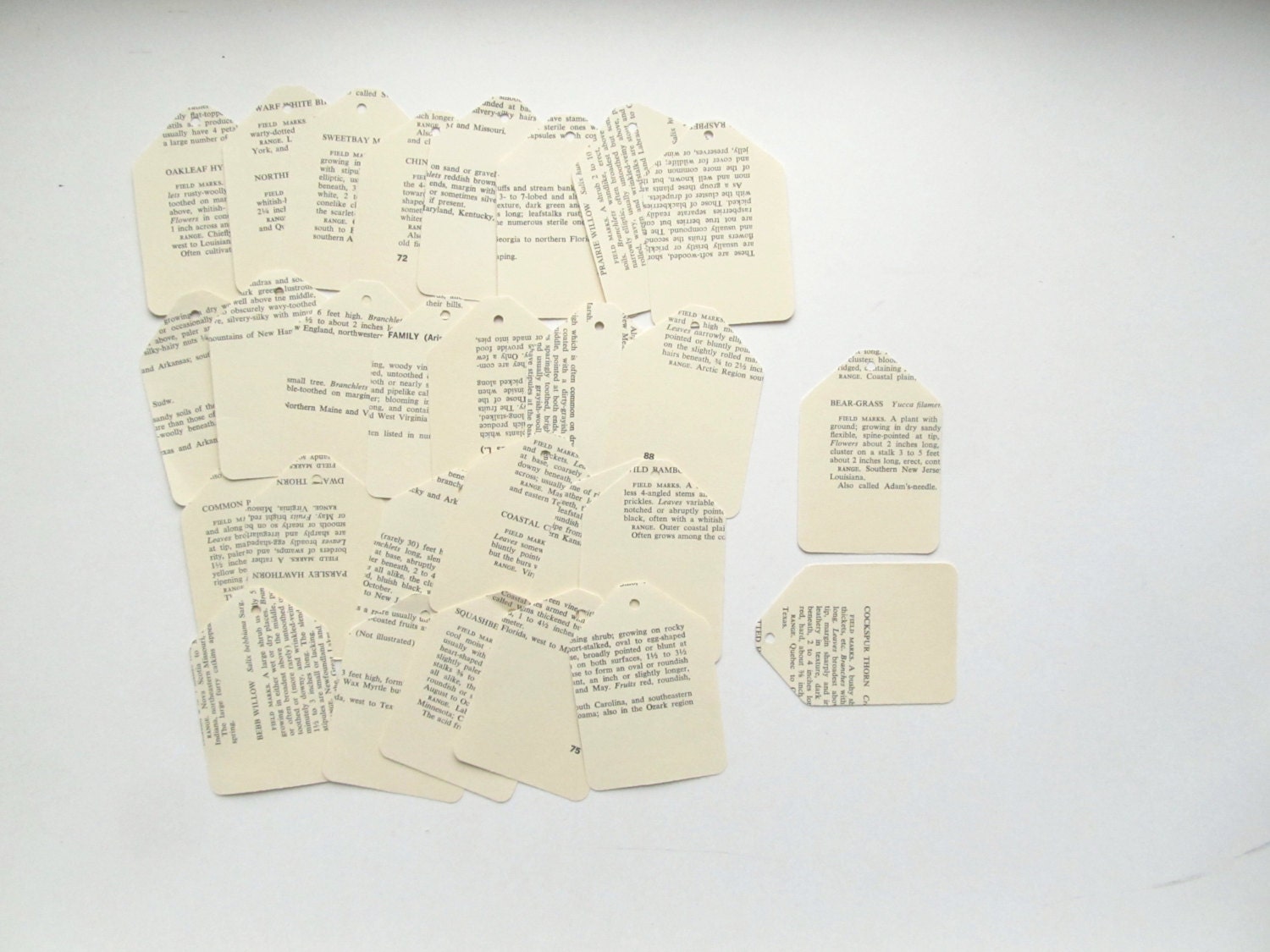 Antique Print Book Tags