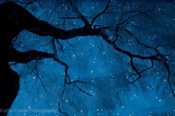Nature Photography, Surreal Starry Gothic Trees Nature, Blue Spooky Tree Limbs, Fantasy Blue Stars Sky Photo 8" x 12"