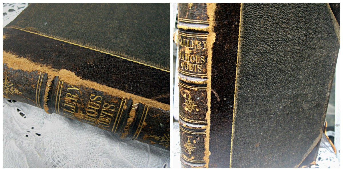 Antique leather poetry book, amazing lithographs, gorgeous like a ledger, 1873 poems