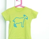 Light green and blue goat