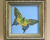 Victorian Butterfly Swalllowtail Victorian Die Cut
