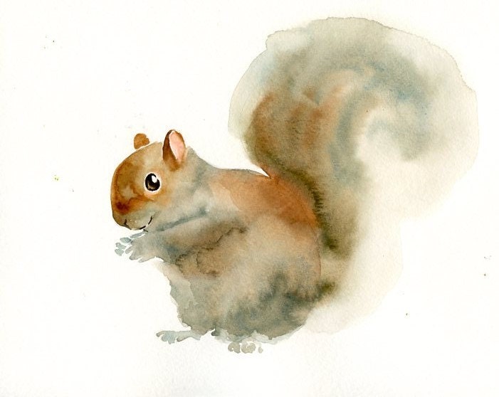 SQUIRREL Original watercolor painting 10x8inch
