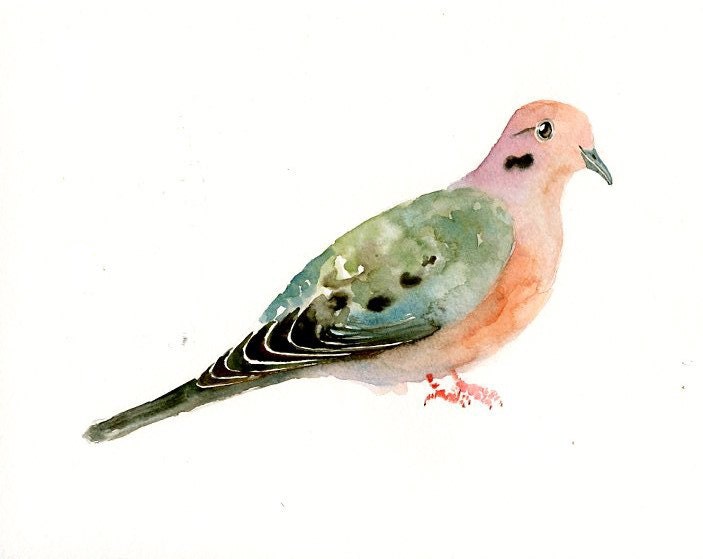 MOURNING DOVE Original watercolor painting 10X8inch