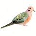 MOURNING DOVE Original watercolor painting 10X8inch