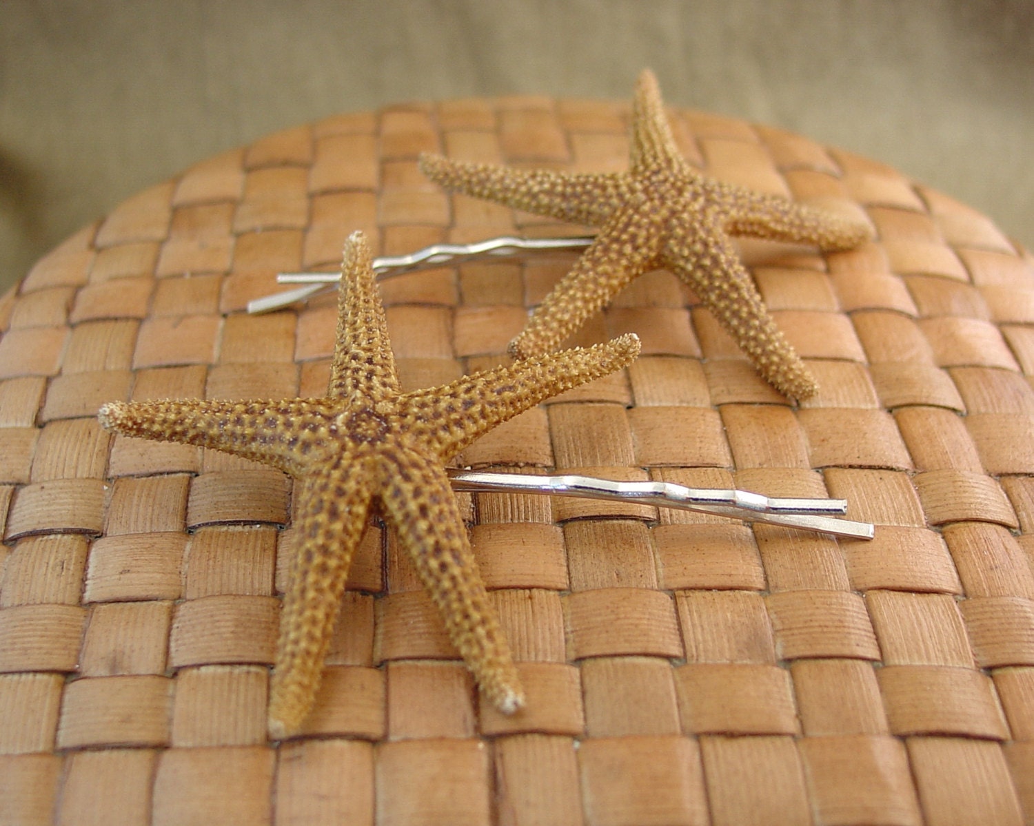 Starfish Bobby Pins, Set of 2