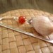Burnt Orange Sea Shell Bookmark