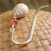 Burnt Orange Sea Shell Bookmark