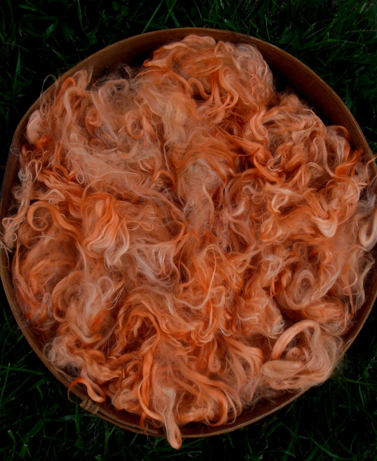 Suri Alpaca Fiber, 5 1/2", Madder Orange, Hand-Dyed, 2 Ounces, Thunderstruck