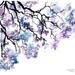 Meet me under the jacaranda tree, print from original watercolor study by Jessica Durrant