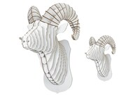 Rocky Jr. - Medium Ram Trophy - White or Brown
