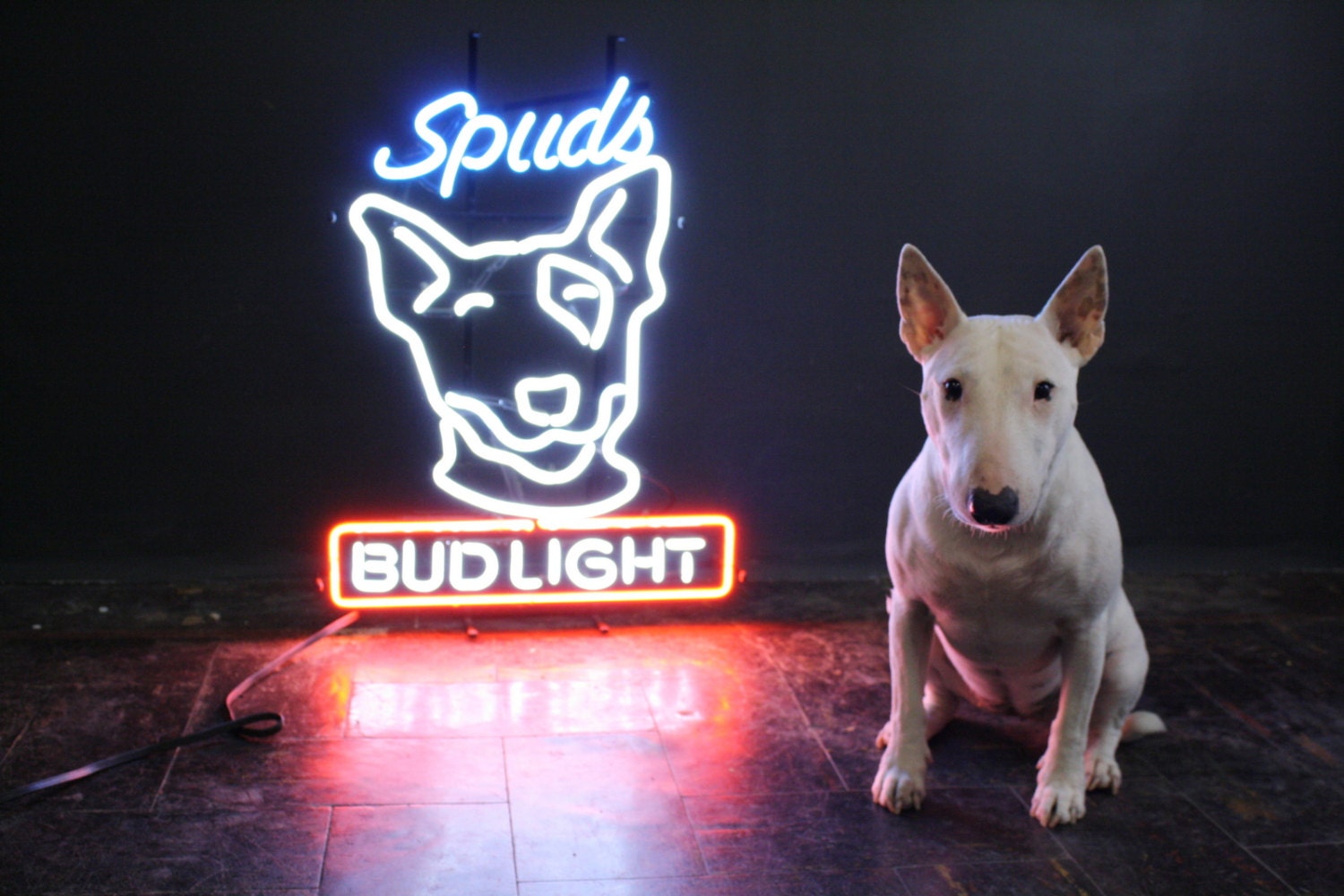 Bar Sign / Spuds MacKenzie Budweiser Bud Light Neon  Sign