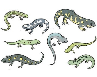 Salamanders cartoon ink drawing print 8x10