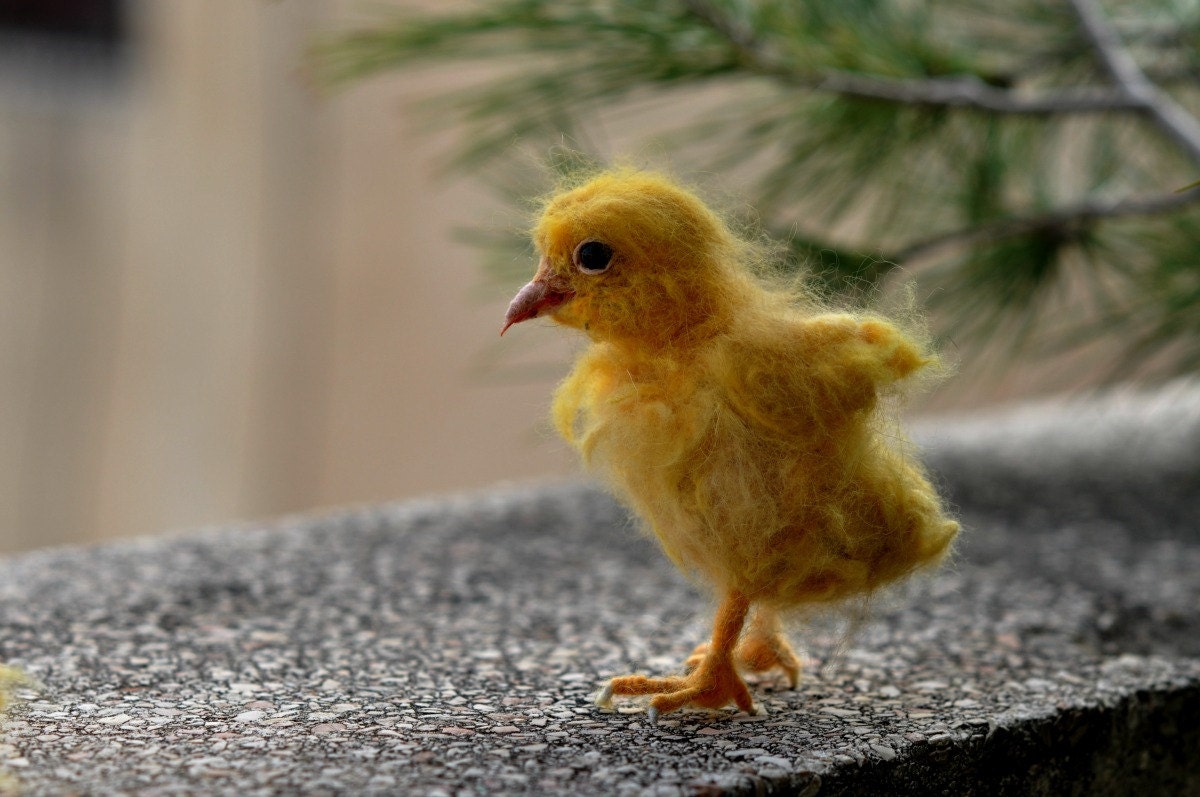 Needle Felted Yellow Easter Chick- Spring nature table-Soft Sculpture . Made to order