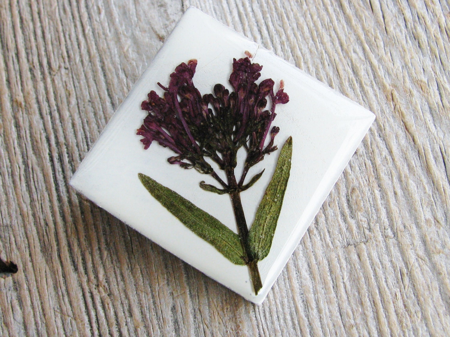 Real Flower Brooch Pressed Flower Purple Keys of Heaven Garden Chic Botanical Jewelry Nature Inspired Fashion Unique Jewelry