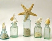 Beach Decor -  5 Vintage Bottles with Starfish, Seashells and Coral
