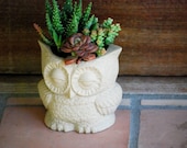 owl planter natural