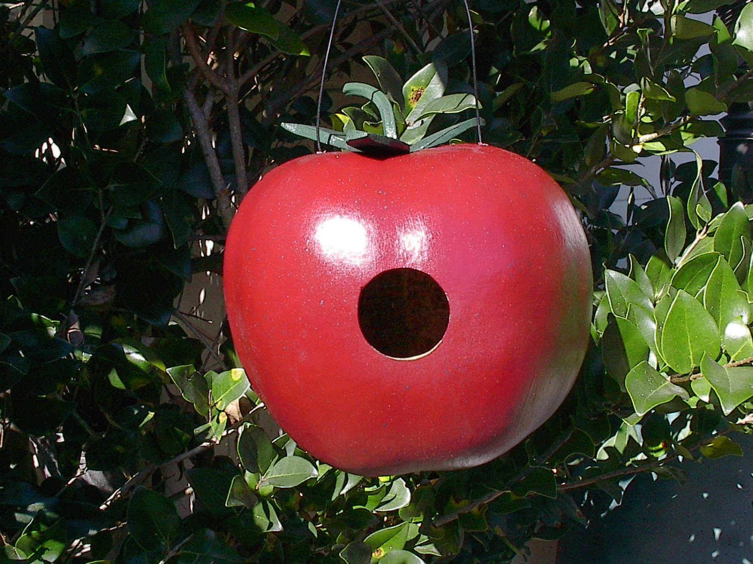 Apple Gourd Birdhouse Spring Gardening