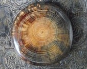 Wood Cabochon - Eco-Friendly Pine Wood Wooden Cabochon Handmade from a Reclaimed Tree Branch - For Wire Wrapping, Jewelry Embroidery
